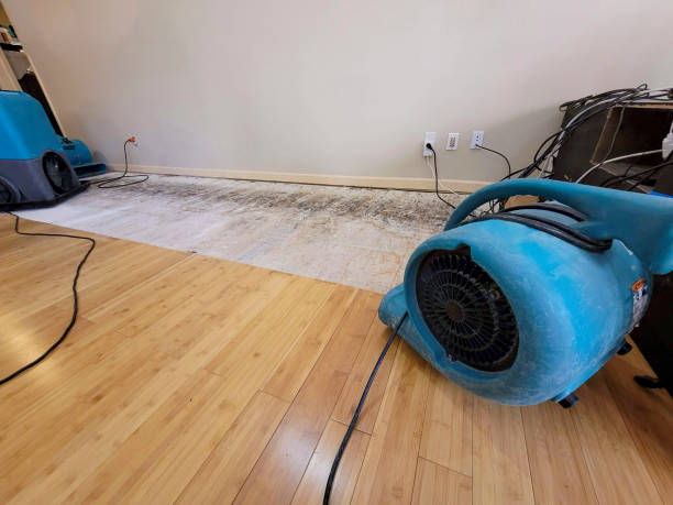 Professional Water Damage Repair technician working in Smithville, TX